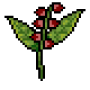 coca.png