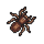 aranha.png