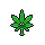 maconha.png
