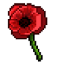 opio.png