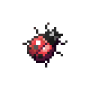 joaninha.png
