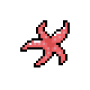 estrela.png