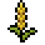 fazenda.png